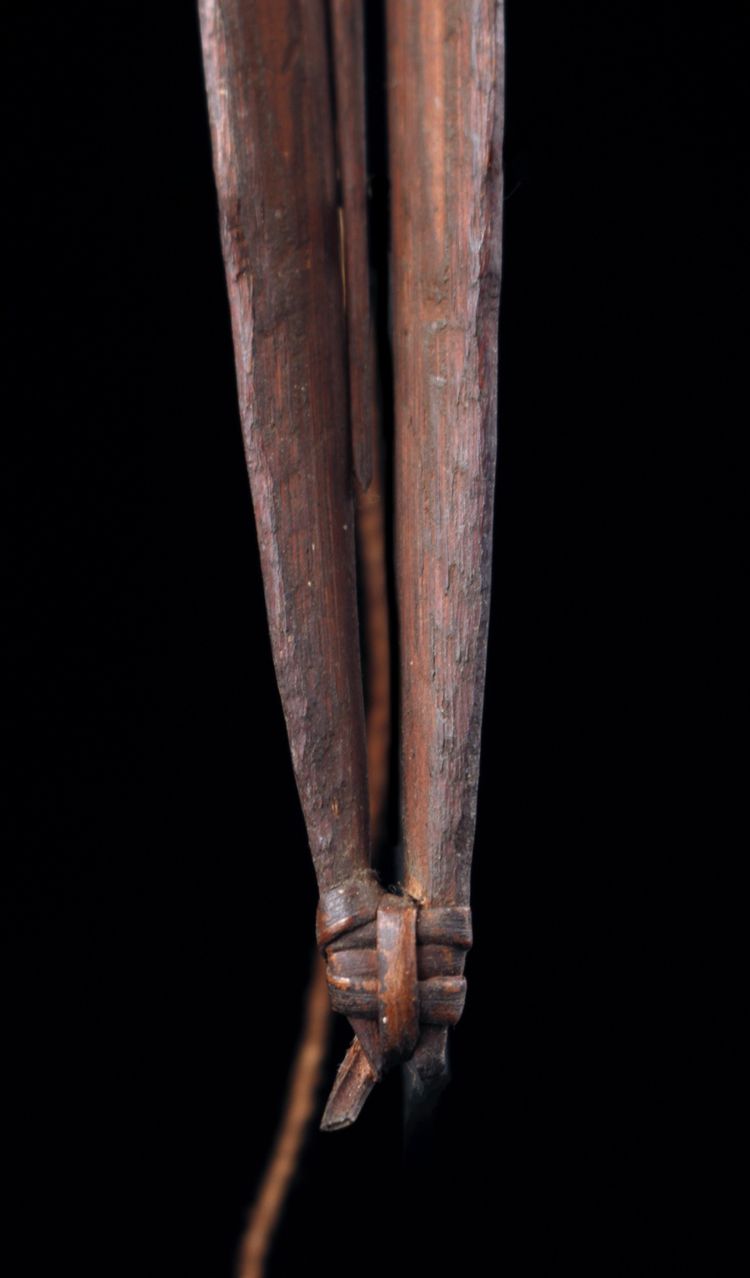 Guimbarde traditionnelle, instrument traditionnel, art océanien, art tribal, Océanie, 25 cm