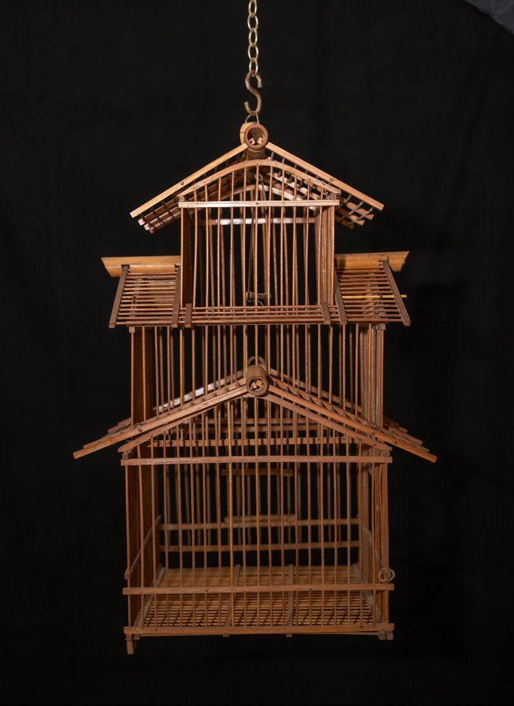 Cage à Oiseaux Indochinoise