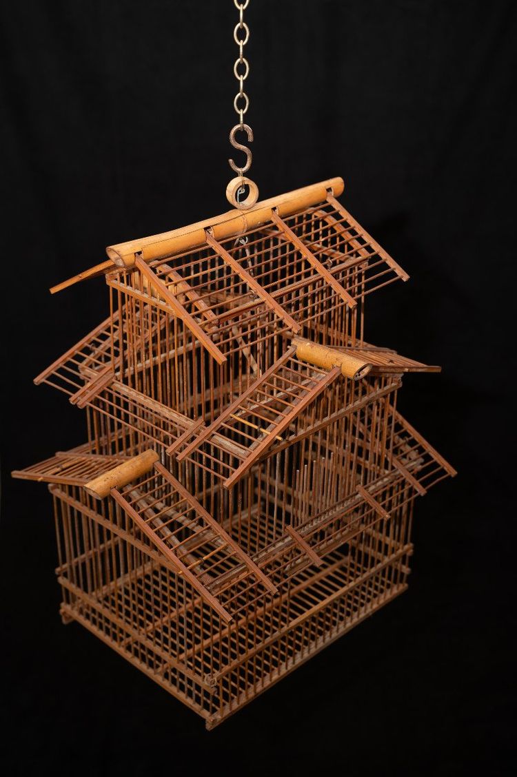 Cage à Oiseaux Indochinoise