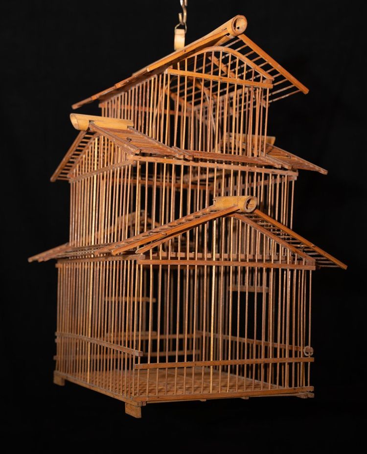 Cage à Oiseaux Indochinoise