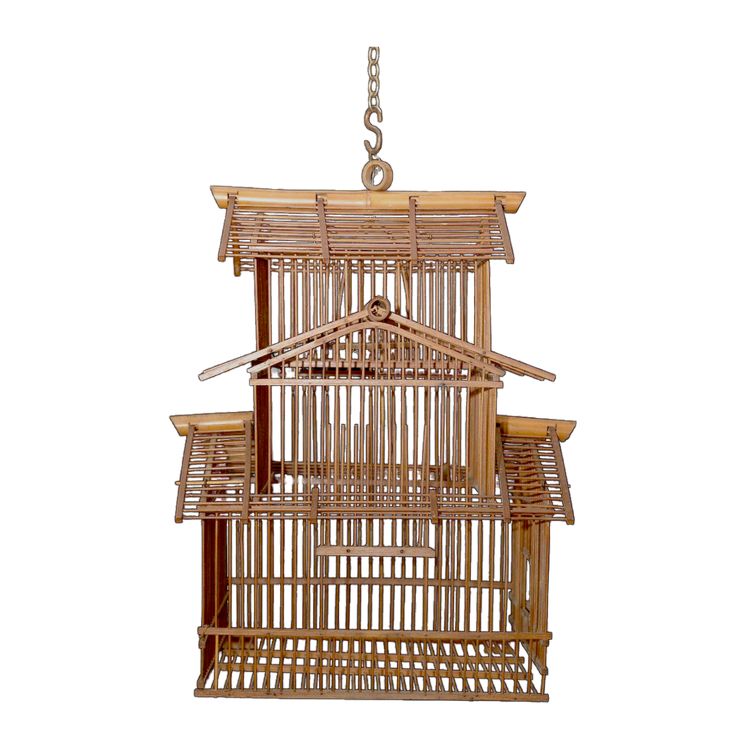 Cage à Oiseaux Indochinoise