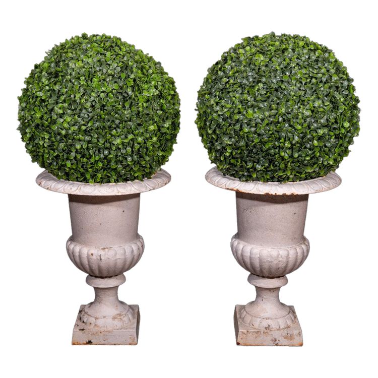 Pair Of Medici Vases