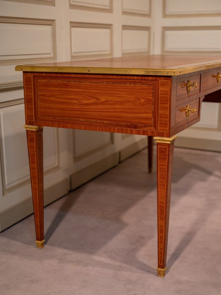 Scrivania in palissandro stile Luigi XVI. Casa Dissidi Parigi