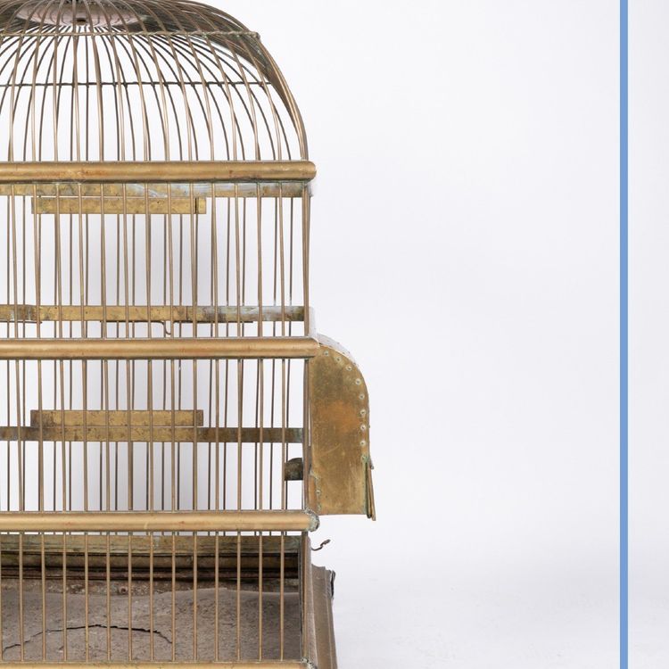 Cage à perroquet en laiton doré, XIXe