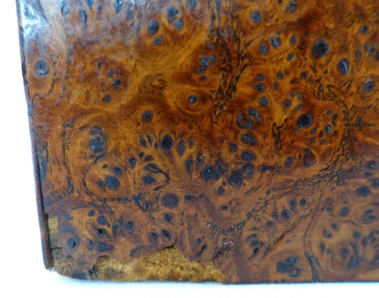 Empire period burr and brass case monogrammed JE or EJ