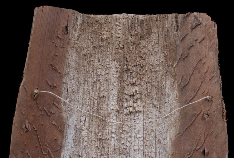 Bemalte Rinde, Ozeanische Kunst, Frühe Kunst, Stammeskunst, Gemälde, Ozeanien, Pazifik, 69 cm