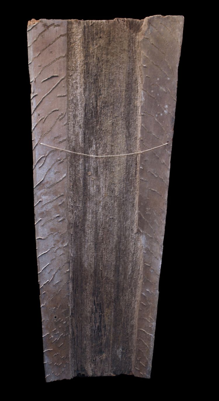 Bemalte Rinde, Ozeanische Kunst, Frühe Kunst, Stammeskunst, Gemälde, Ozeanien, Pazifik, 82 cm