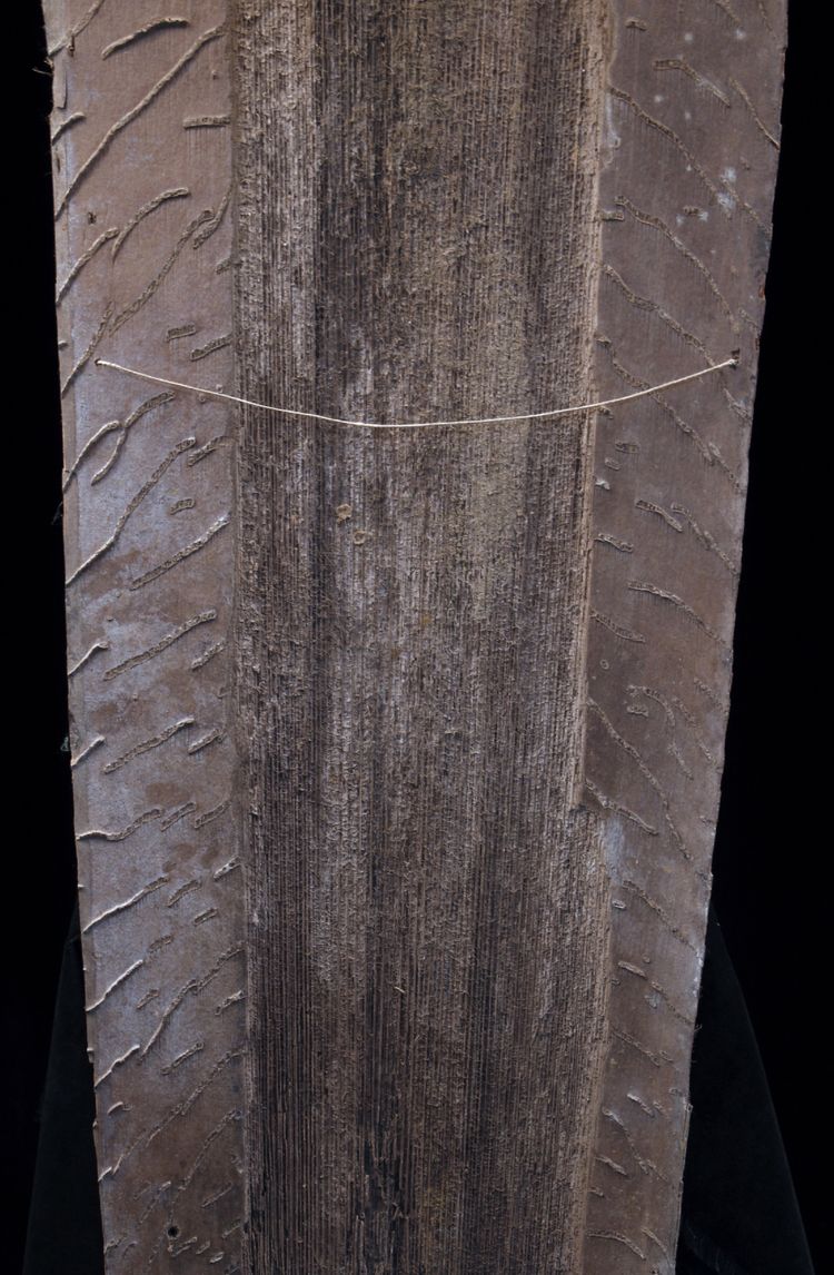 Bemalte Rinde, Ozeanische Kunst, Frühe Kunst, Stammeskunst, Gemälde, Ozeanien, Pazifik, 82 cm