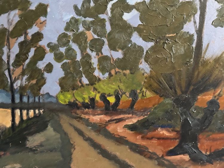 Tree-lined country road