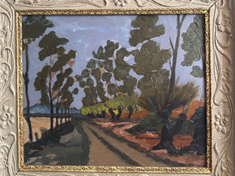 Tree-lined country road