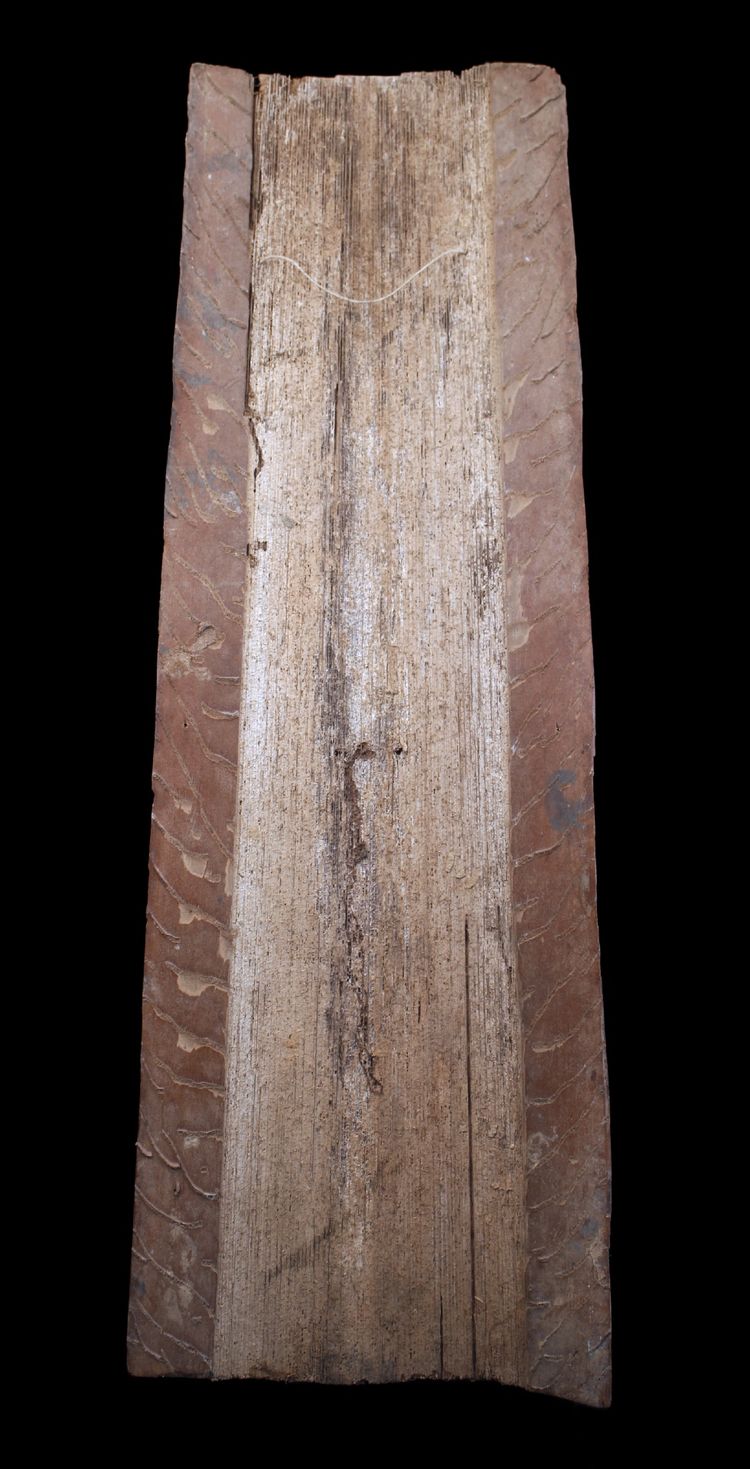 Bemalte Rinde, Ozeanische Kunst, Frühe Kunst, Stammeskunst, Gemälde, Ozeanien, Pazifik, 100 cm