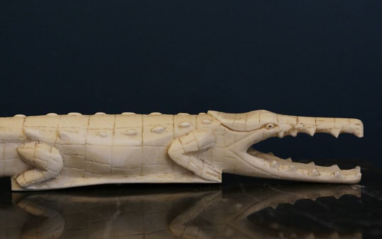 Coccodrillo in avorio XIX secolo