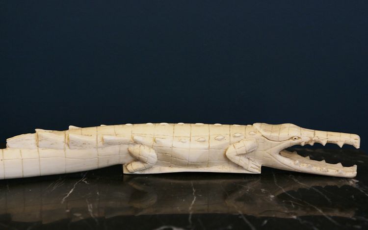 Coccodrillo in avorio XIX secolo