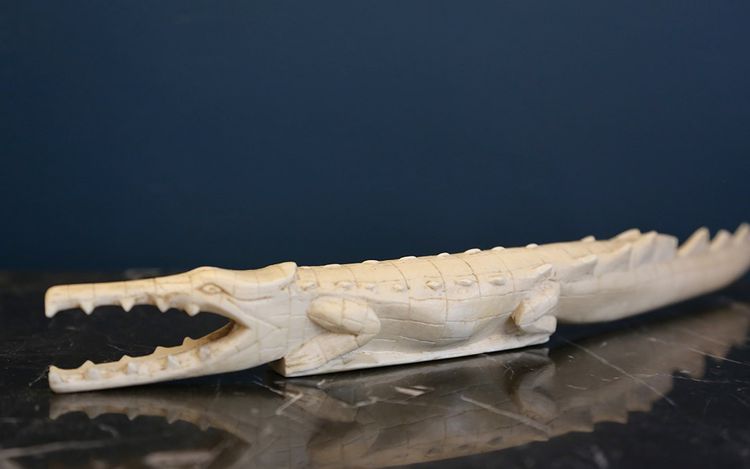 Coccodrillo in avorio XIX secolo