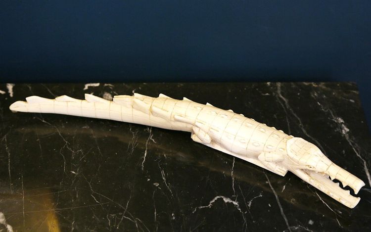 Coccodrillo in avorio XIX secolo