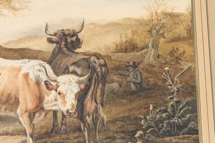 Scena pastorale ad acquerello con mucche, XIX secolo