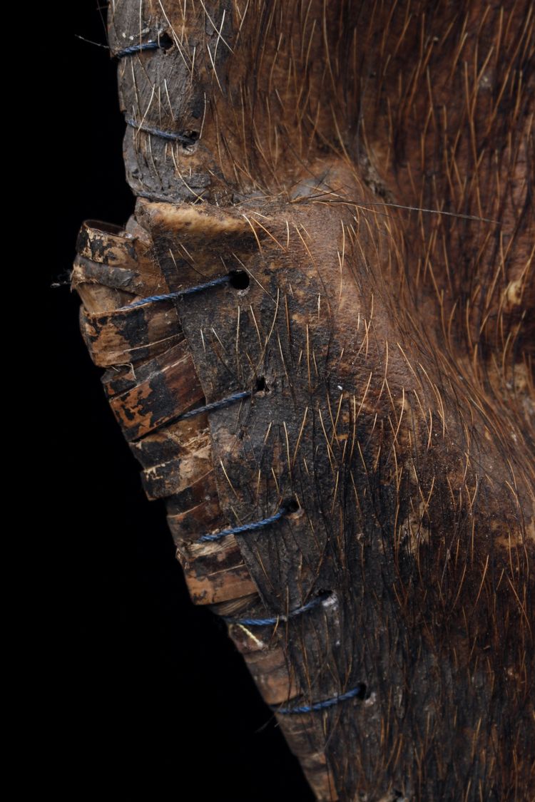 Hautschild, Stammeskunst, Erste Künste, Ozeanien, Papua-Neuguinea, 74 cm