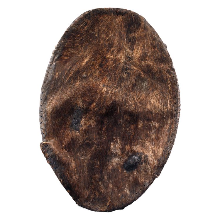 Hautschild, Stammeskunst, Erste Künste, Ozeanien, Papua-Neuguinea, 74 cm