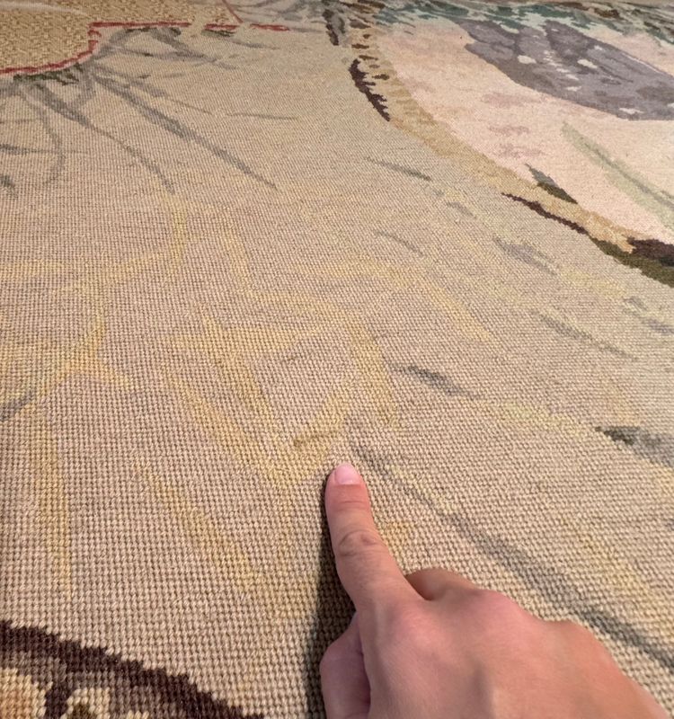 Tapis au point noué d'après Aubusson