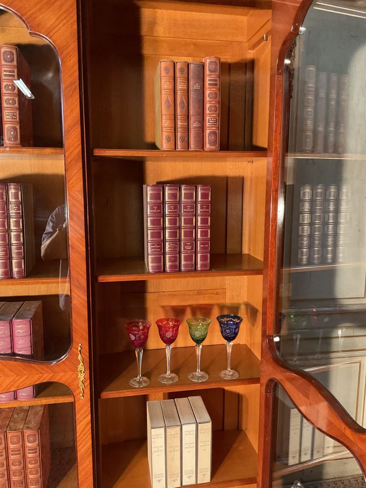 Libreria in palissandro parigino