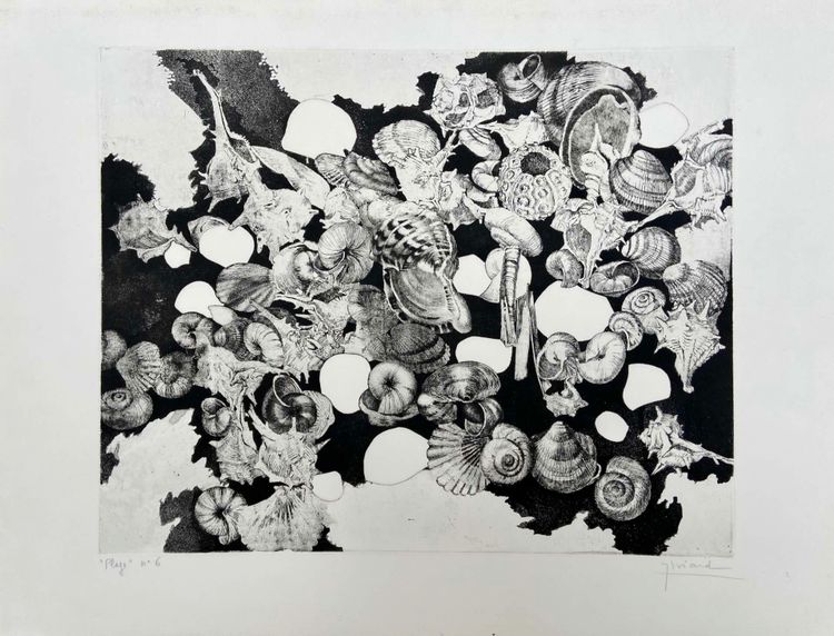 Etching by Jean-Louis VIARD - Shells