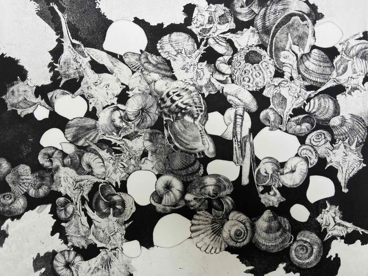 Etching by Jean-Louis VIARD - Shells