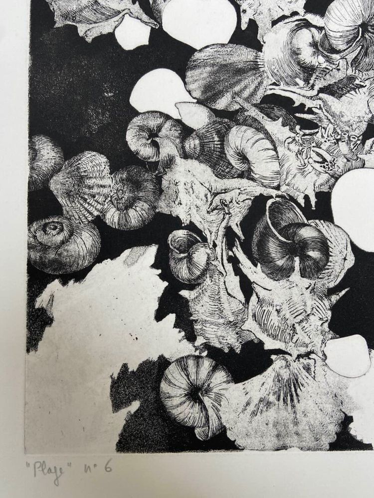 Etching by Jean-Louis VIARD - Shells