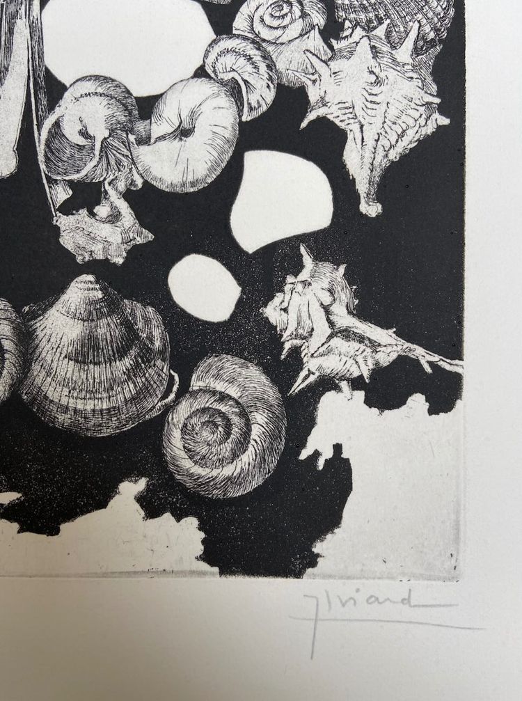Etching by Jean-Louis VIARD - Shells