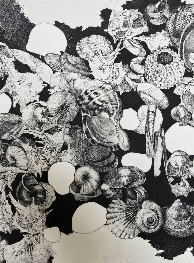 Etching by Jean-Louis VIARD - Shells