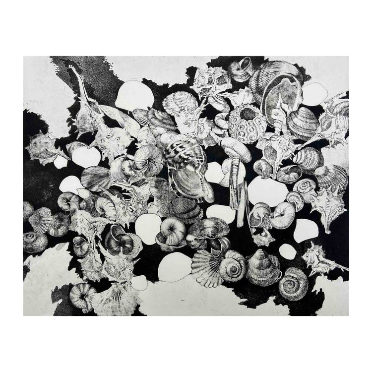 Etching by Jean-Louis VIARD - Shells
