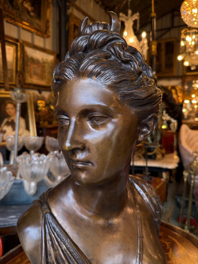 Grande busto in bronzo con patina marrone, XIX secolo, Diana cacciatrice