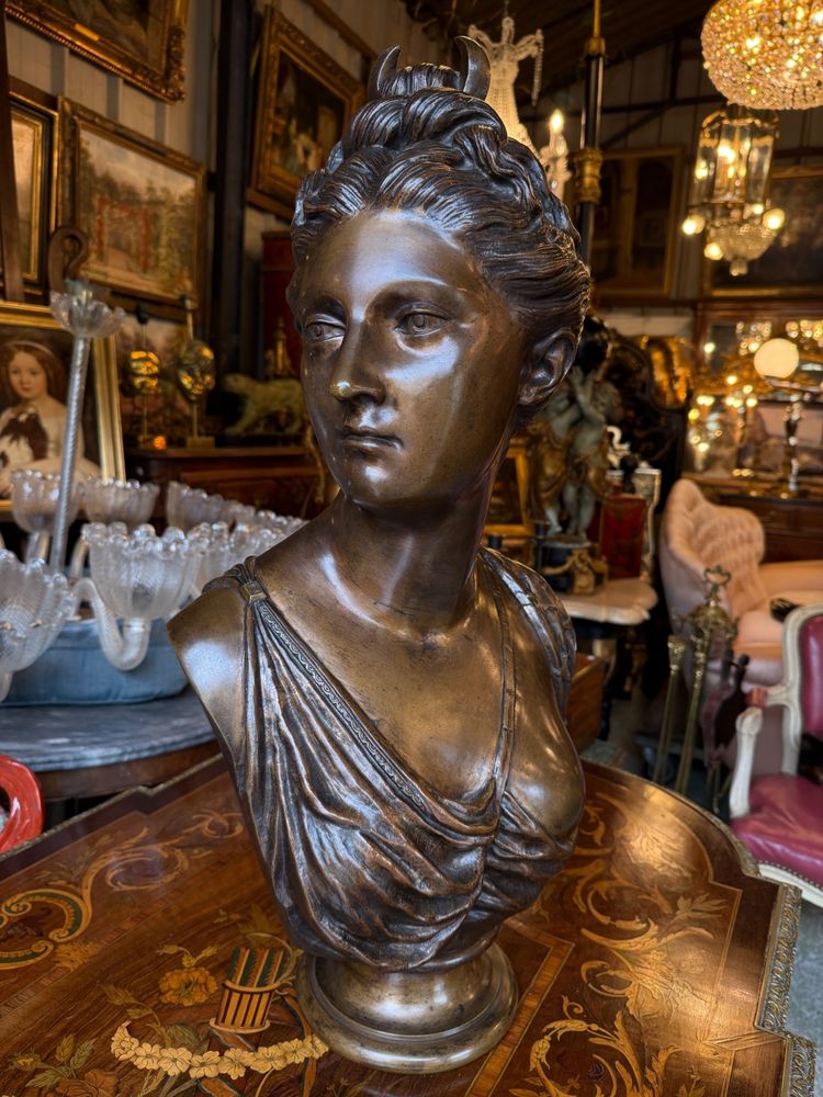 Grande busto in bronzo con patina marrone, XIX secolo, Diana cacciatrice