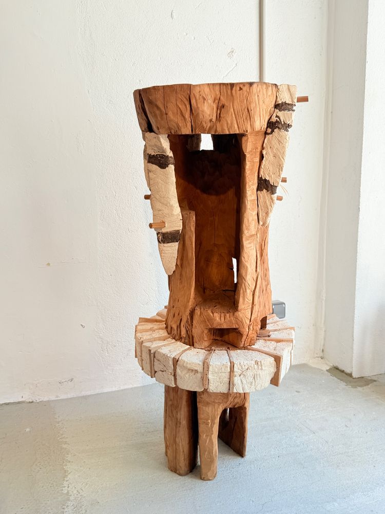 Paolo Bosi Scultura in Legno Opere Uniche