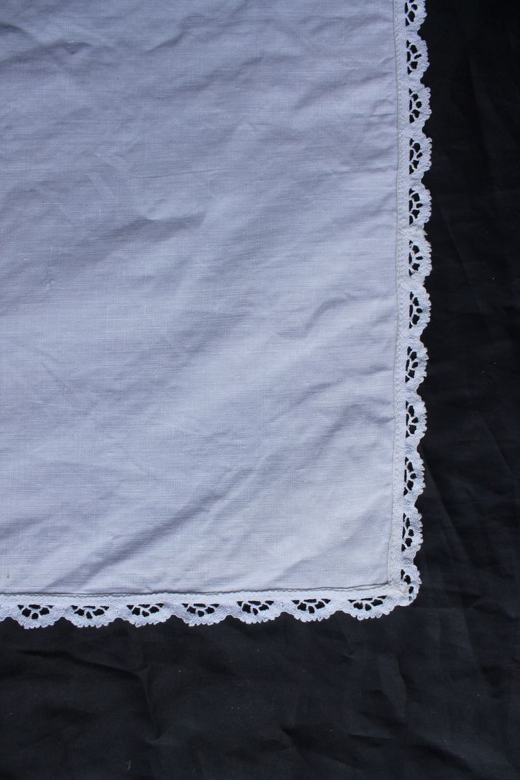 Embroidered tablecloth with fern decoration, size: 235 x 135 cm, perfect condition