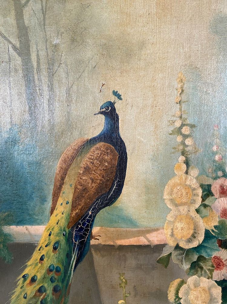 Oil on canvas, “peacock and hollyhocks” signed and dated 1903