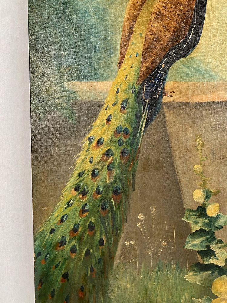 Oil on canvas, “peacock and hollyhocks” signed and dated 1903