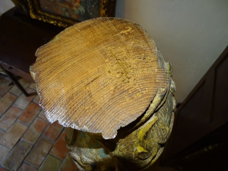 18th century Salomonic column with natural decor