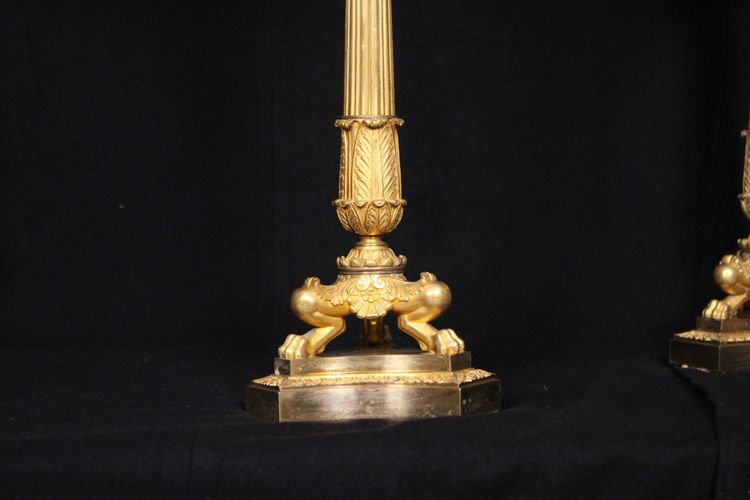 Coppia di candelabri a 6 luci in bronzo dorato, XIX secolo, periodo Luigi Filippo