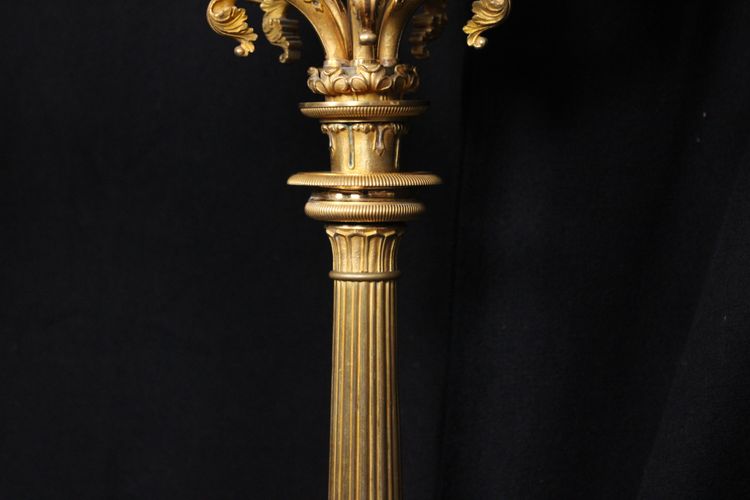 Coppia di candelabri a 6 luci in bronzo dorato, XIX secolo, periodo Luigi Filippo