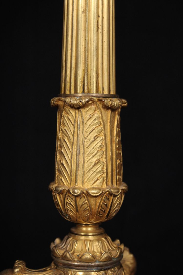 Coppia di candelabri a 6 luci in bronzo dorato, XIX secolo, periodo Luigi Filippo