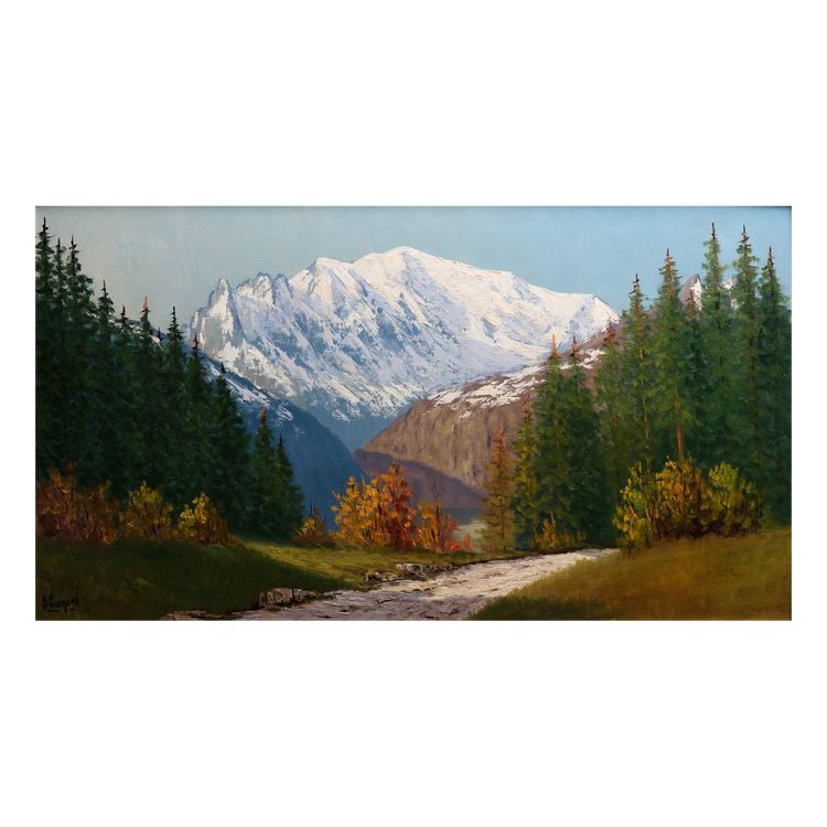Vue du Mont Blanc