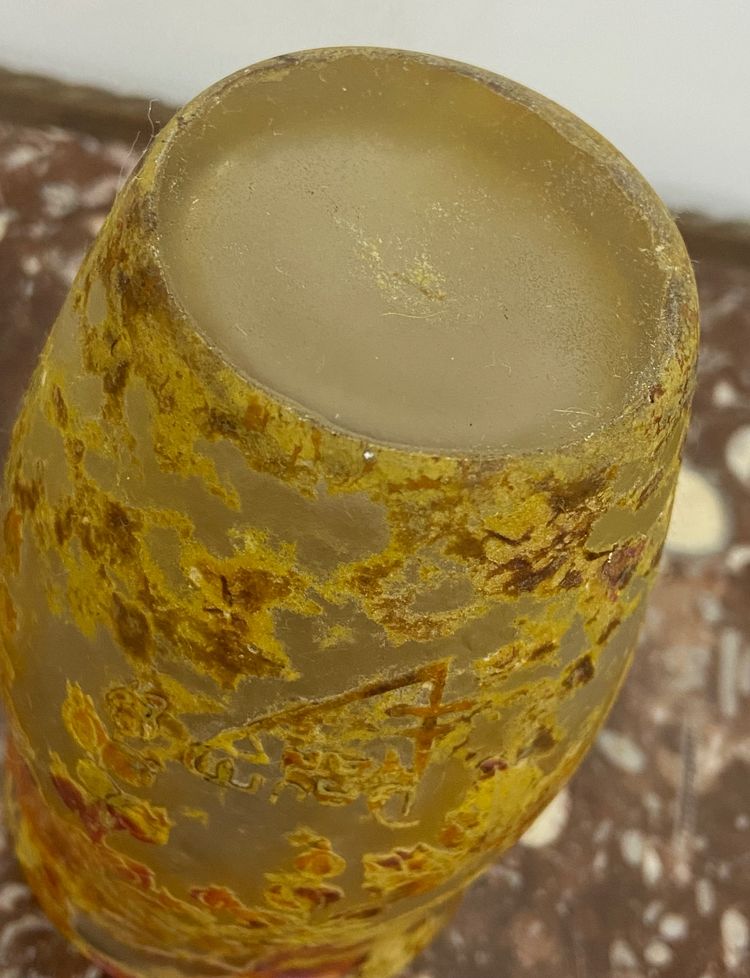Daum Nancy vase with rose hip Art Nouveau