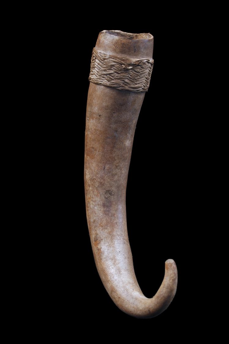 Körperschmuck, Traditionell, Tribal Art, Ozeanische Kunst, Ozeanien, Papua-Neuguinea, 23 cm