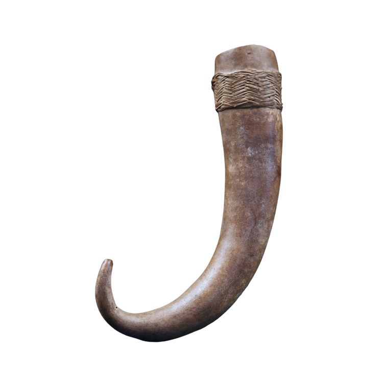 Körperschmuck, Traditionell, Tribal Art, Ozeanische Kunst, Ozeanien, Papua-Neuguinea, 23 cm