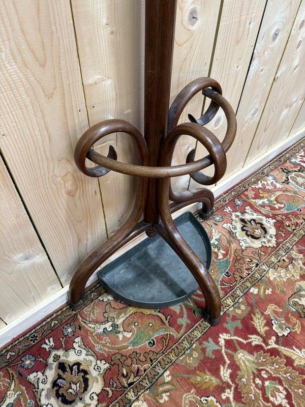 Portemanteau - Perroquet Thonet en bois courbé