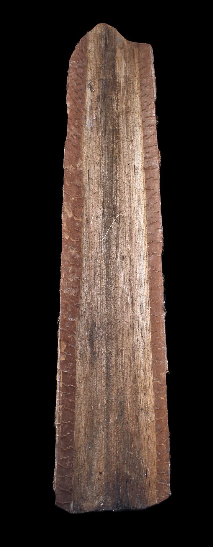 Bemalte Rinde, Ozeanische Kunst, Frühe Kunst, Stammeskunst, Gemälde, Ozeanien, Pazifik, 139 cm