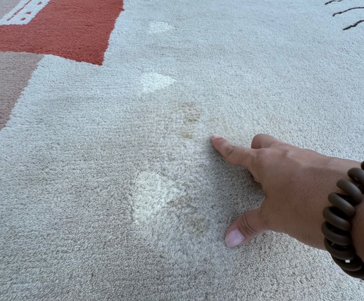 Toulemonde Bochart rug 350x250 cm