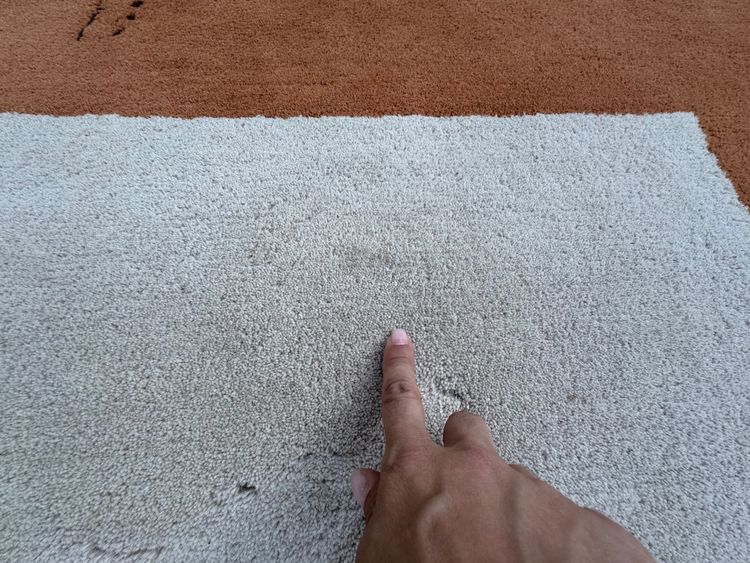 Toulemonde Bochart rug 350x250 cm