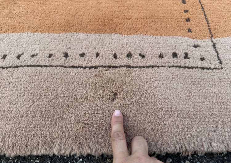 Toulemonde Bochart rug 350x250 cm