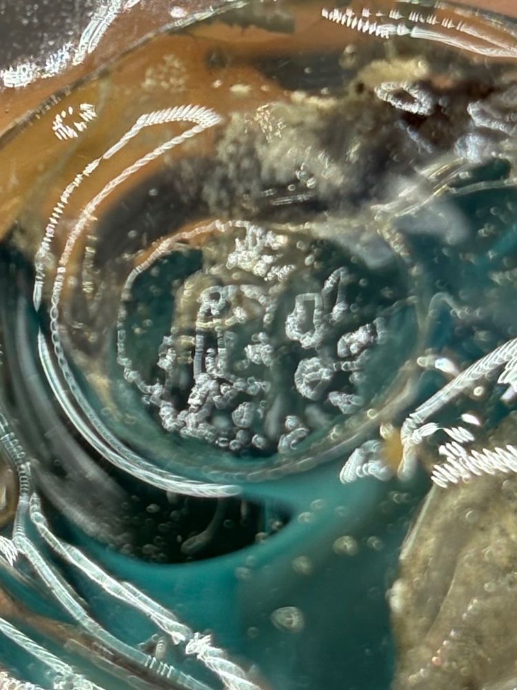 GEBLASENE VASE